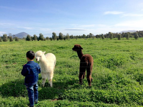 Taras Richmond Farmstay - Sunshine Coast Tourism 0