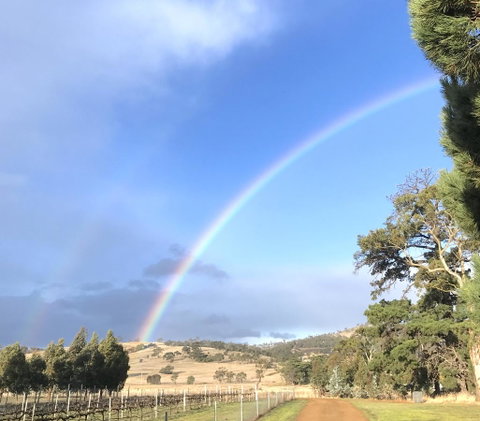 Taras Richmond Farmstay - Sunshine Coast Tourism 29