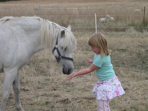Taras Richmond Farmstay - Sunshine Coast Tourism 19