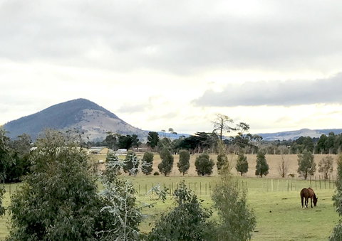 Taras Richmond Farmstay - Sunshine Coast Tourism 1