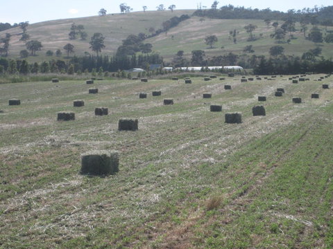 Taras Richmond Farmstay - Sunshine Coast Tourism 18