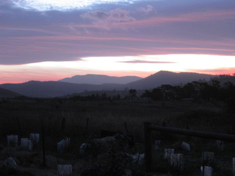 Taras Richmond Farmstay - Sunshine Coast Tourism 22