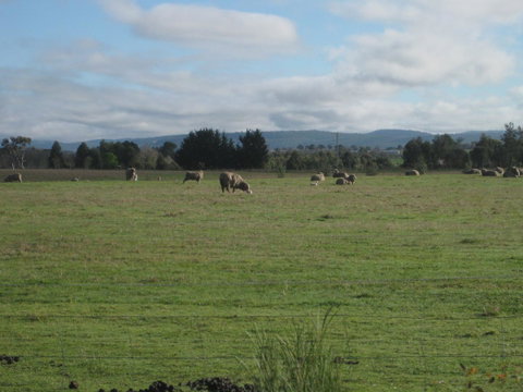 Taras Richmond Farmstay - Sunshine Coast Tourism 13