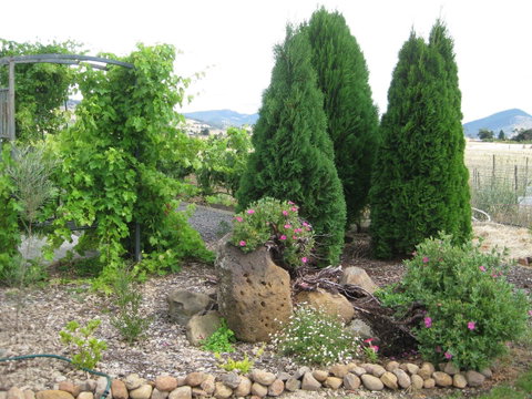 Taras Richmond Farmstay - Sunshine Coast Tourism 23