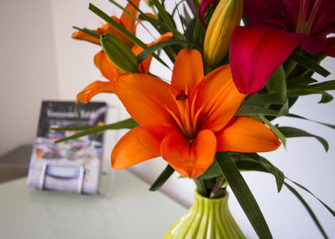 Bellerive Marina View Apartments No 28 - Sunshine Coast Tourism 17