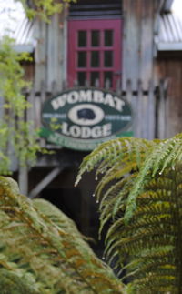 The Wombat Lodge