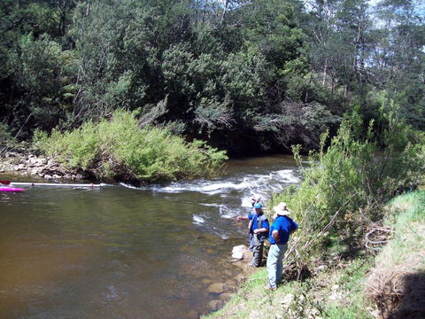 St. Pauls Bed & Breakfast - Sunshine Coast Tourism 26