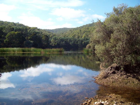 St. Pauls Bed & Breakfast - Sunshine Coast Tourism 11