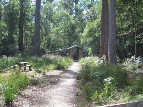 St. Pauls Bed & Breakfast - Sunshine Coast Tourism 5