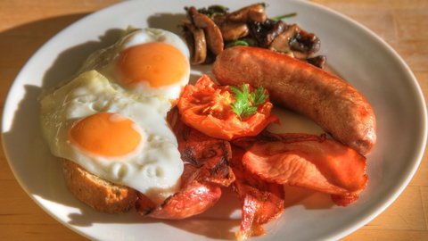 Ashdowns Of Dover - Sunshine Coast Tourism 22