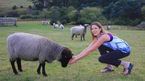 Ashdowns Of Dover - Sunshine Coast Tourism 26