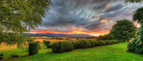 Old WesleyDale Heritage Accommodation - Holiday Sunshine Coast 13
