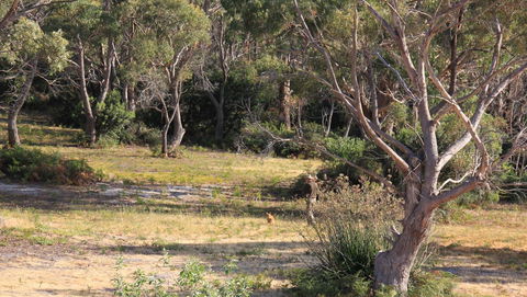 BAY OF FIRES SEACHANGE Ocean Frontage - Sunshine Coast Tourism 12