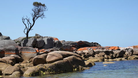 BAY OF FIRES SEACHANGE Ocean Frontage - Sunshine Coast Tourism 21