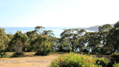 BAY OF FIRES SEACHANGE Ocean Frontage - Sunshine Coast Tourism 16