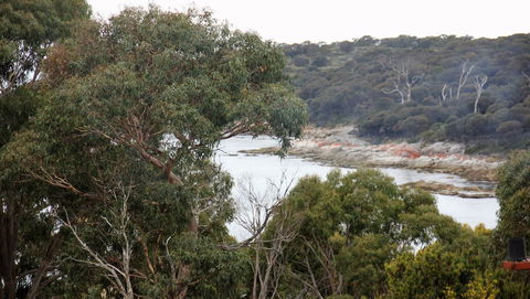 BAY OF FIRES SEACHANGE Ocean Frontage - Sunshine Coast Tourism 15