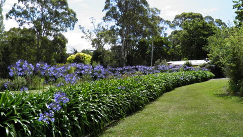 Tamar River Retreat - Sunshine Coast Tourism 11