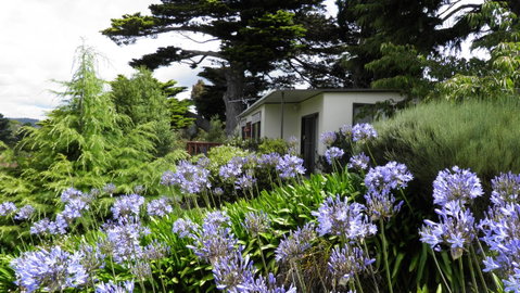 Tamar River Retreat - Sunshine Coast Tourism 28