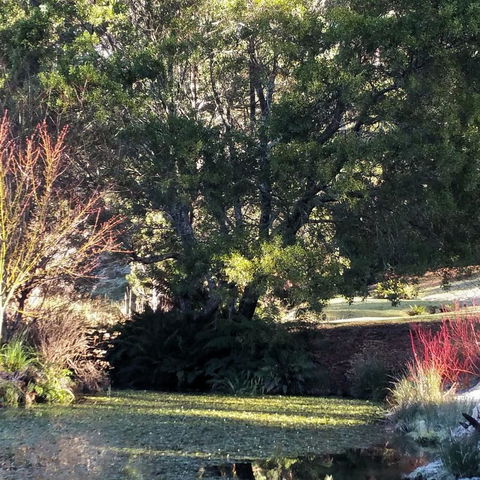 MaraPonds - Sunshine Coast Tourism 9