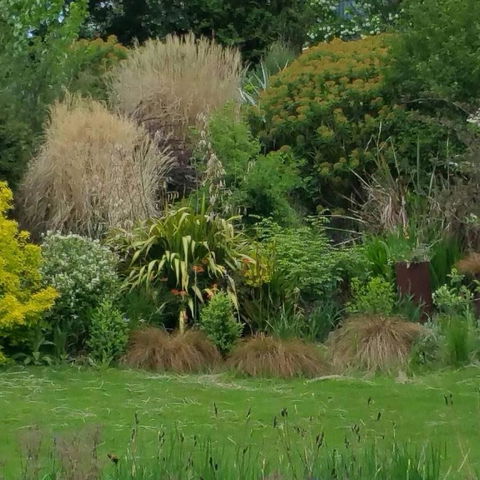 MaraPonds - Sunshine Coast Tourism 12