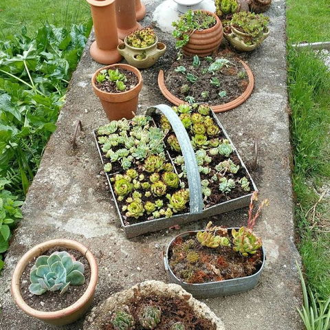 MaraPonds - Sunshine Coast Tourism 10