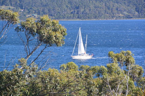 The Tree House - Sunshine Coast Tourism 5