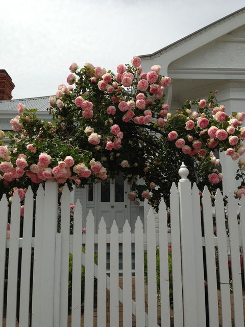 White Dove Cottage Bed And Breakfast - Sunshine Coast Tourism 10