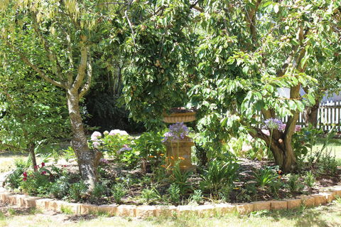 Bellamona - Sunshine Coast Tourism 23