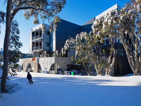 Buller Central Hotel - Holiday Sunshine Coast 9