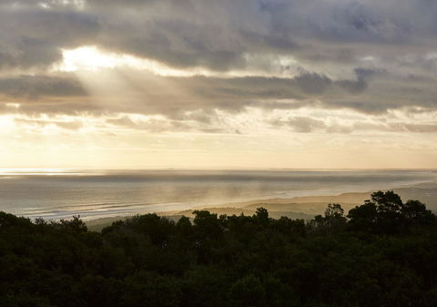 RACV Cape Schanck Resort - Sunshine Coast Tourism 6