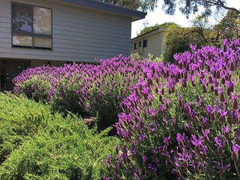 Kookas Retreat - Sunshine Coast Tourism 14