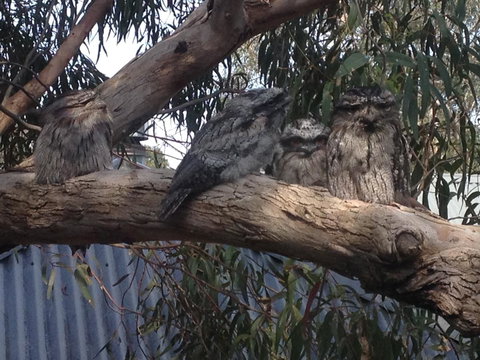 Kookas Retreat - Sunshine Coast Tourism 15