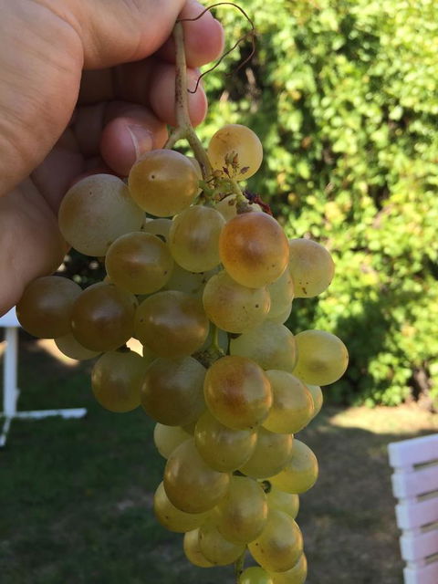 Campbell St Lodge - Sunshine Coast Tourism 9