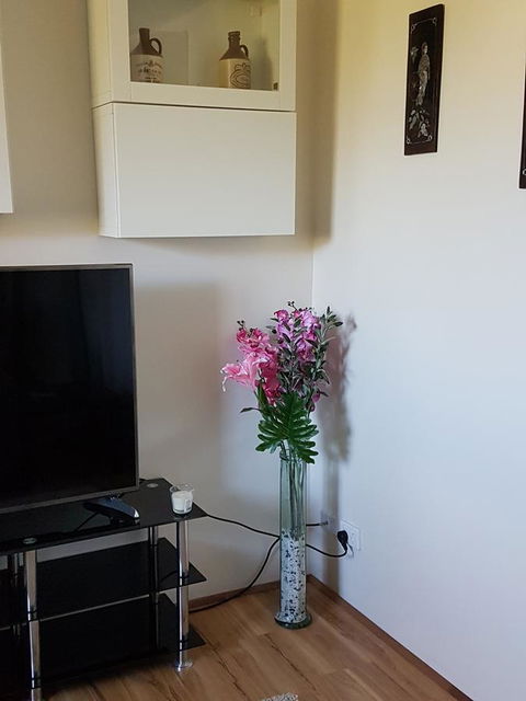 Romsey Homestay - Holiday Sunshine Coast 8