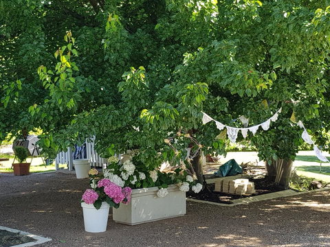 The Cottage - Holiday Sunshine Coast 30