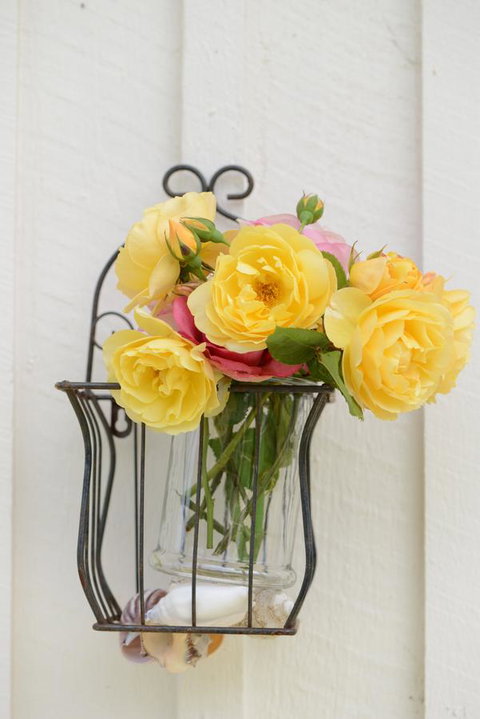 The Cottage - Holiday Sunshine Coast 38