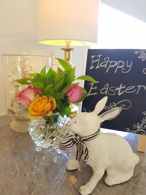 The Cottage - Holiday Sunshine Coast 24