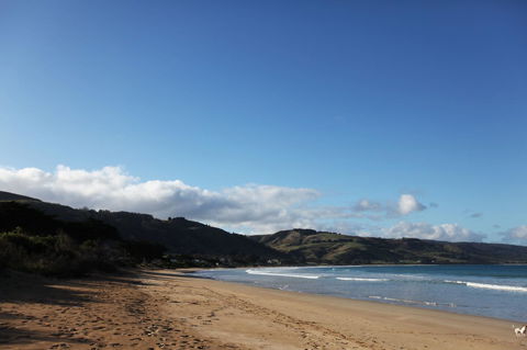 7 Falls Apartments - Sunshine Coast Tourism 0