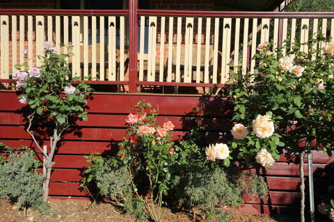 Oxford Rise Apartment - Sunshine Coast Tourism 21