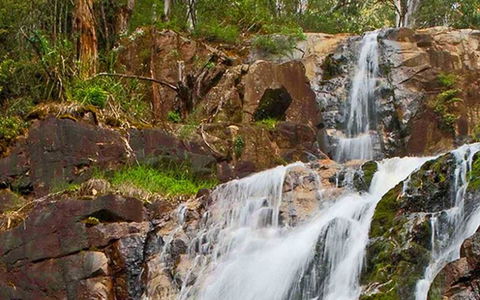 Marysville Caravan And Holiday Park - Holiday Sunshine Coast 37