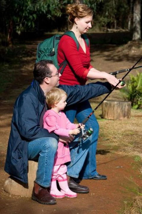 Marysville Caravan And Holiday Park - Holiday Sunshine Coast 22
