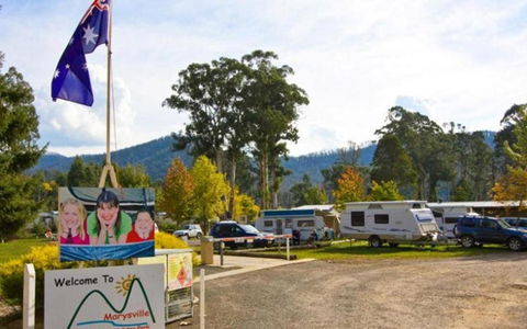 Marysville Caravan And Holiday Park - Holiday Sunshine Coast 34