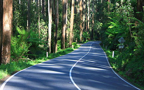 Marysville Caravan And Holiday Park - Holiday Sunshine Coast 40