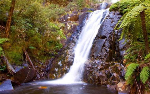 Marysville Caravan And Holiday Park - Holiday Sunshine Coast 32