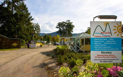 Marysville Caravan And Holiday Park - Holiday Sunshine Coast 33