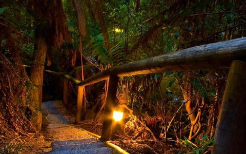 Marysville Caravan And Holiday Park - Holiday Sunshine Coast 27