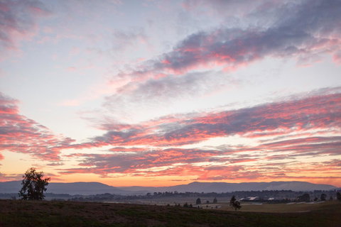 Yering Gorge Cottages - Holiday Sunshine Coast 2