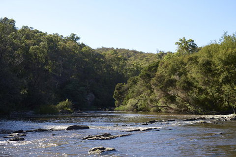 Yering Gorge Cottages - Holiday Sunshine Coast 21