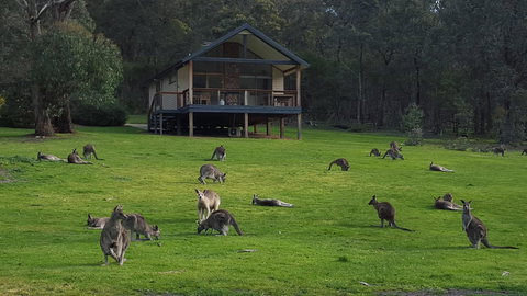 Yering Gorge Cottages - Holiday Sunshine Coast 6