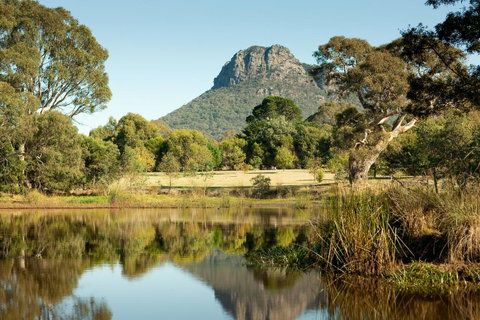 Dunkeld Studio Accommodation - Sunshine Coast Tourism 17